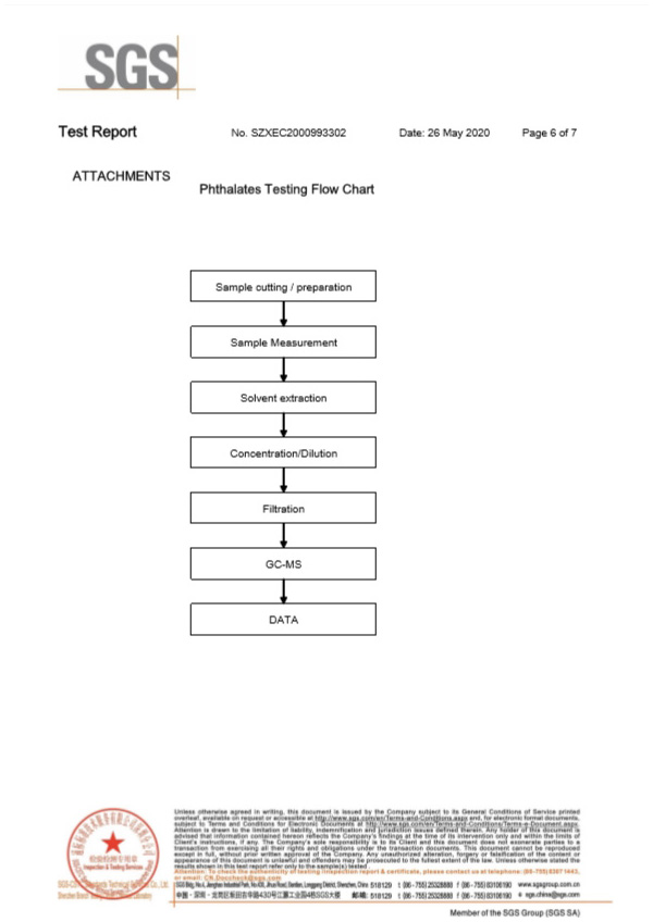 一次性保險(xiǎn)絲SGS認(rèn)證報(bào)告6